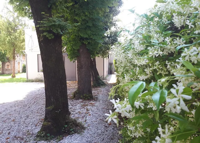 Villa Fiorentino